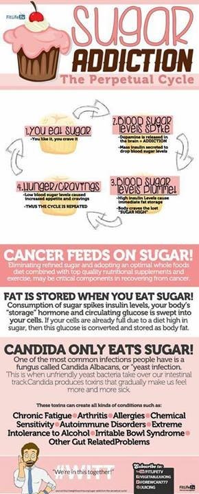 The Sugar Addiction Cycle - Diabetic Health Clinic Diabetic Health Clinic